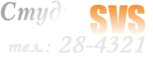 Логотип компании SVS