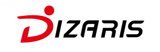 Логотип компании Дизарис